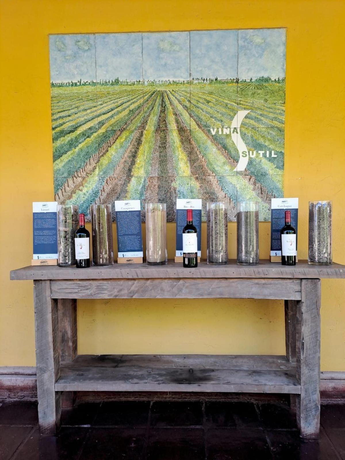 Vina La Playa Hotel & Winery Santa Cruz Kültér fotó